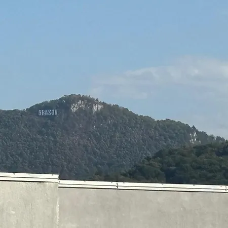 3 *